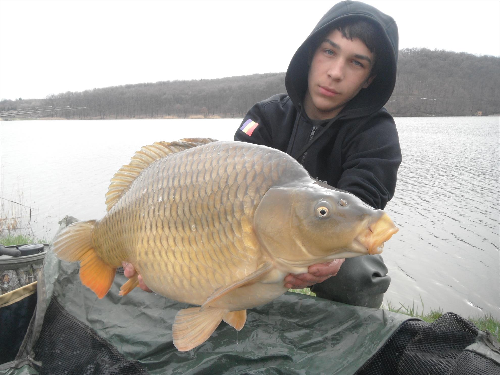 Martie 2013 - Harsany - Martie 2013